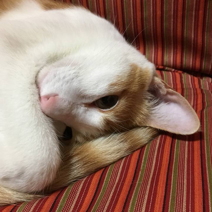 Cd39c43b a983 482c 8ef0 8c1967ab9f60