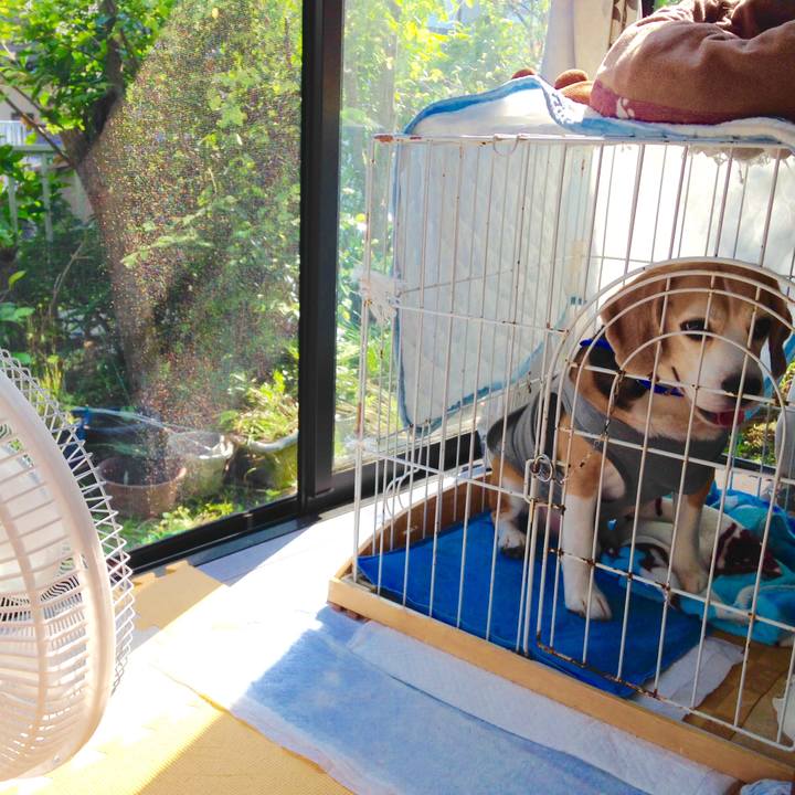 Cd39dd17 c514 4054 89f1 806eb62f57aa