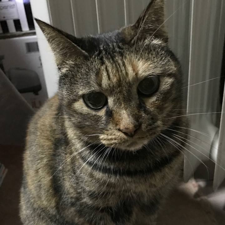 Cd3a5979 0123 46bd a8f8 e8fac77372e5