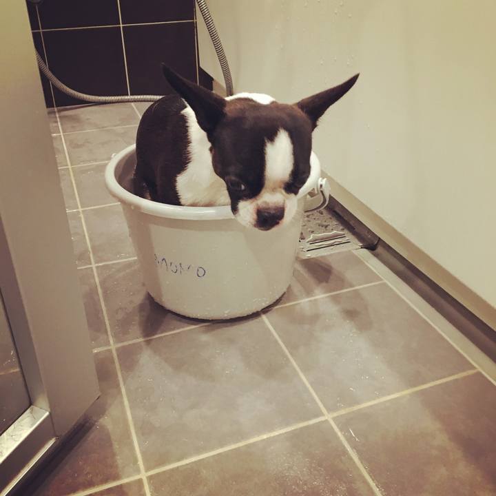 Cd3a6a7c 16dd 4045 b12e c0774ed3a189