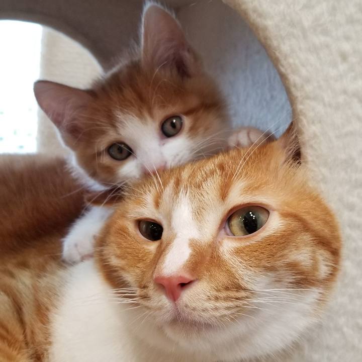 Cd3ace59 3013 4e7e a348 e9b20d648106