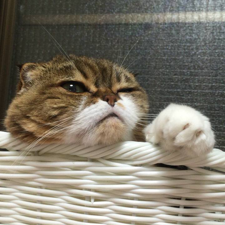 Cd3ad4bc 93c2 40c8 9c48 a23d60de68c2