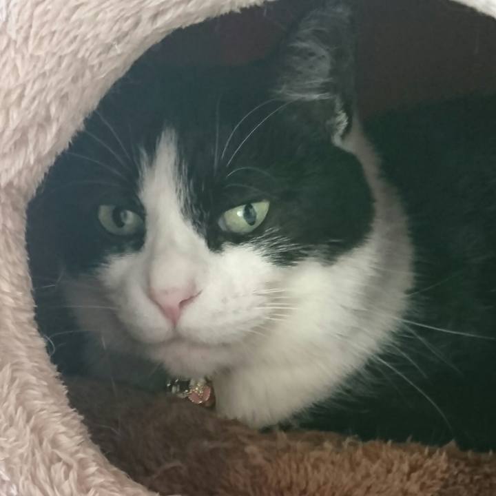 Cd3b6b64 7ba1 4b22 9937 d5b33b8df8a9