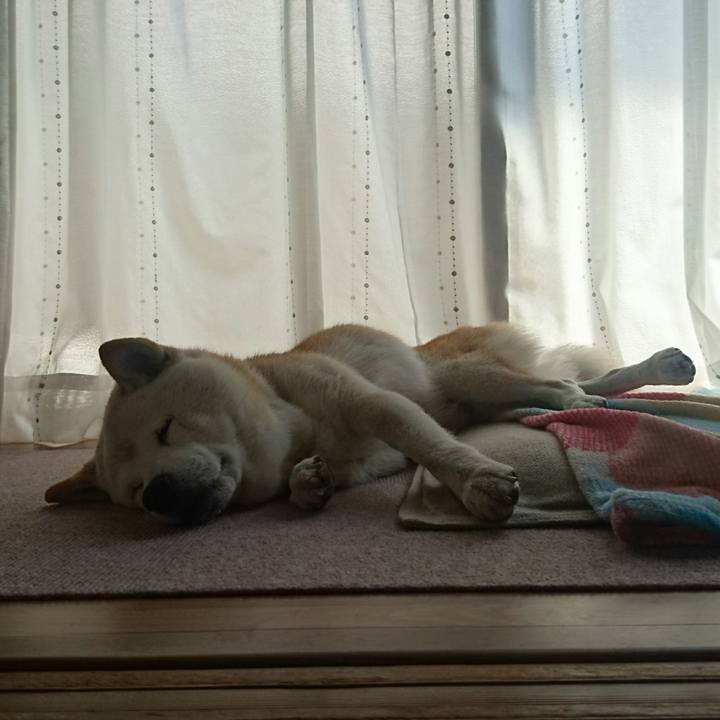 Cd3cff29 cf7e 4215 b63b 102c68b4e132