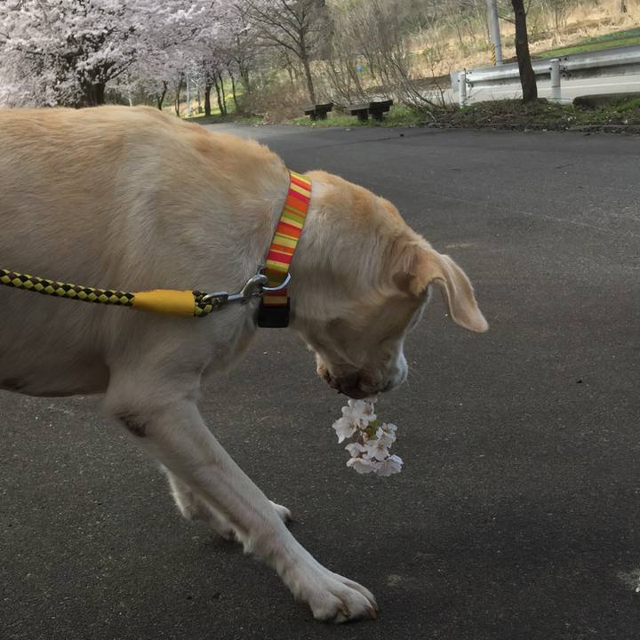 Cd3d2b2c 3620 4c09 b32d 49e4e2714233