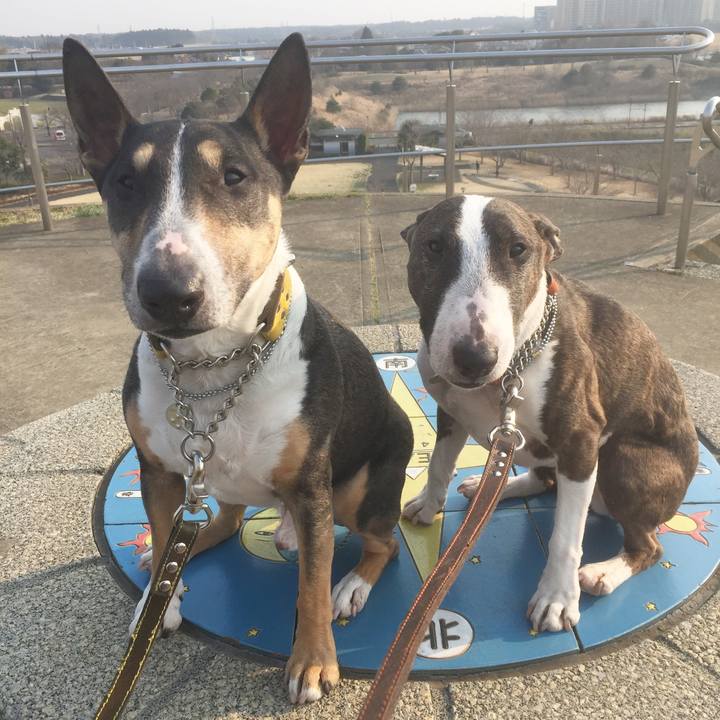 Cd3da90b 2ff2 4957 b7f7 91ad7e78eb97