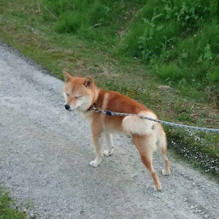 Cd3dbcb0 60ba 42cf a7ab 475640db23e3