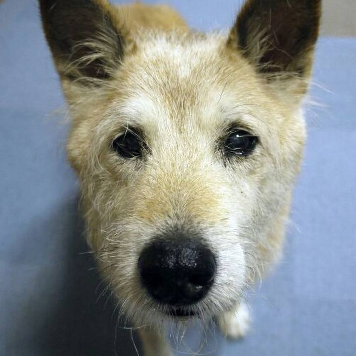 Cd3e04b6 c83f 4e55 b8bd b750f0a36b4f