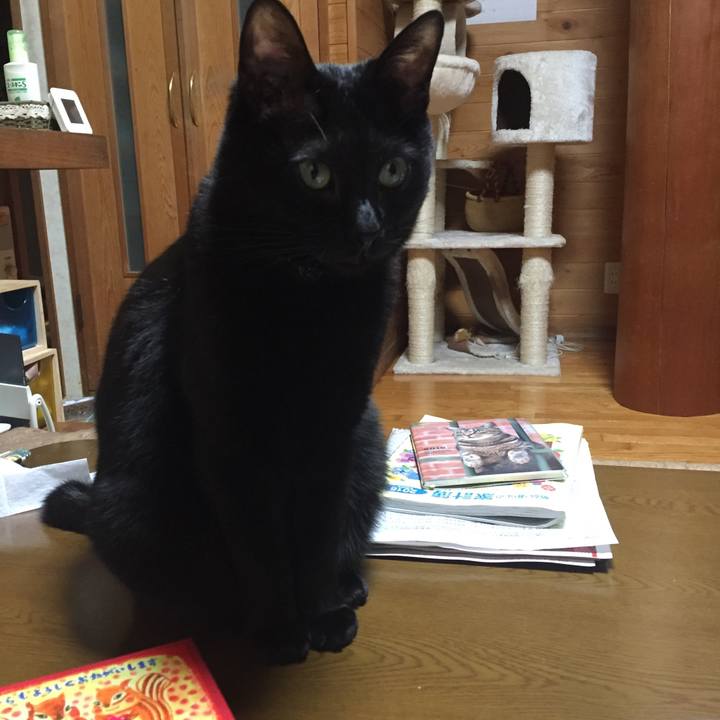 Cd3e2260 b8e1 4061 8b68 3dbb799c6bc6