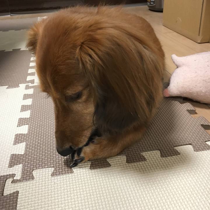 Cd3e3a9f 88f9 40ba aa93 492788d2d109