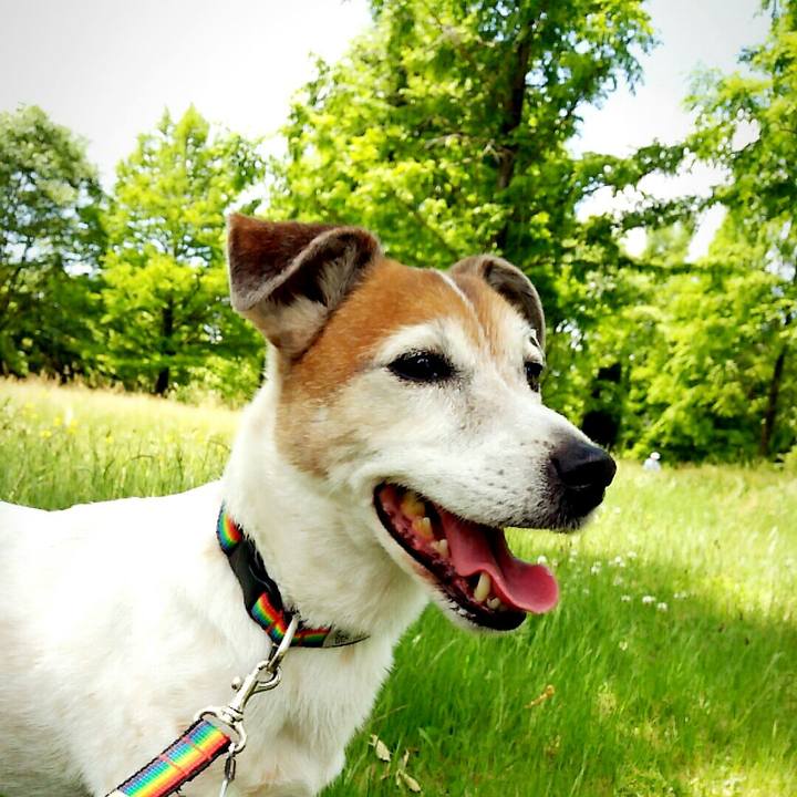 Cd3e4dbb 6766 422d 99d4 859a8baf8802