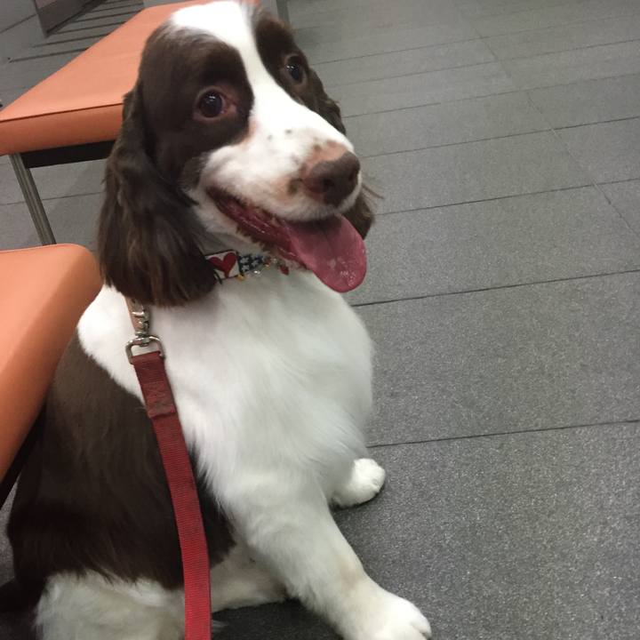 Cd3e6325 bc37 41a1 9dbc 24c6f9ed6d90