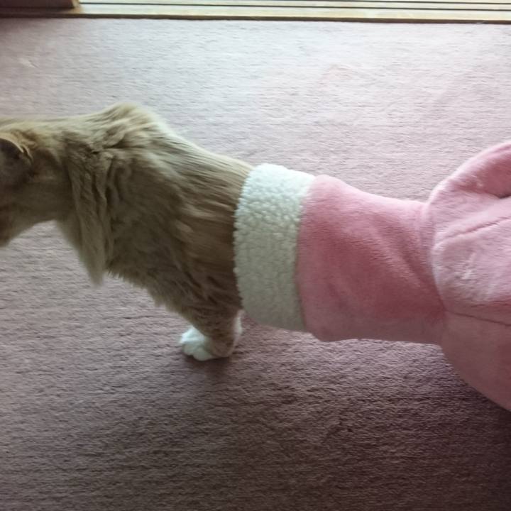 Cd3ecfc4 816d 48f7 aa33 347d781d53d5