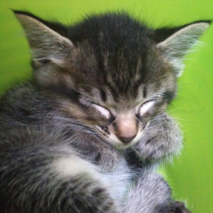 Cd3ee740 6be0 42b7 a067 9d1eef3a742a