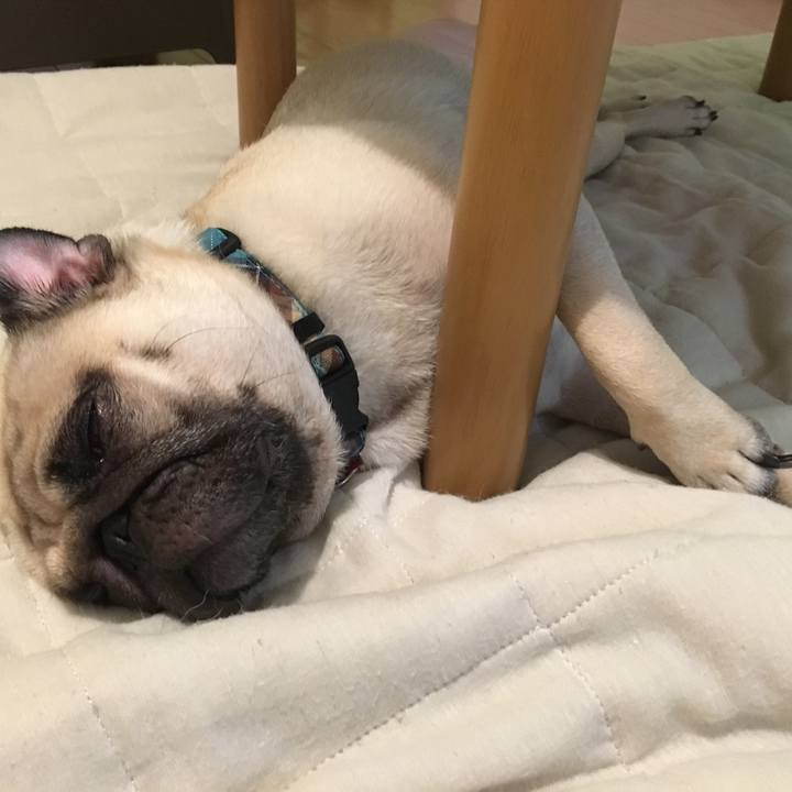 Cd3f1eee 3e84 40d6 967b 97f15c379a2d