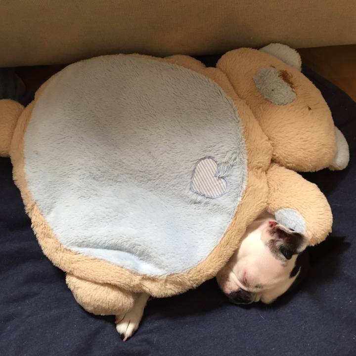 Cd3f3495 89d5 4e05 b7f8 debb07db14e5