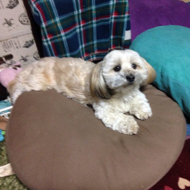 Cd3f3aa0 9c04 483e b2ae 03b34437969a