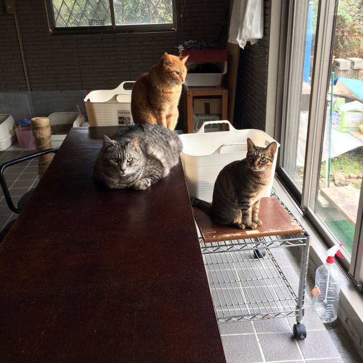 Cd402136 7dcb 4c31 87f4 9dc14226dfbe