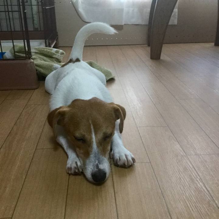 Cd40278a 54f3 48d5 8140 6302068f38a1