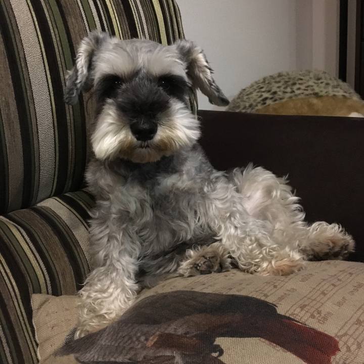 Cd4093a3 80d3 4e7a 9aec 6cd25c5f1231