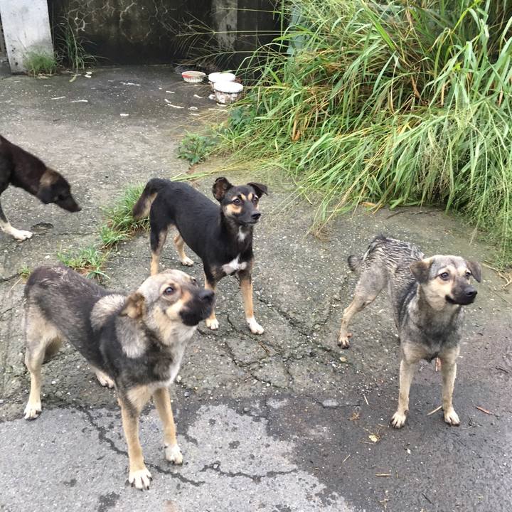 Cd413e7b 1162 4683 945f 736ced67fda2