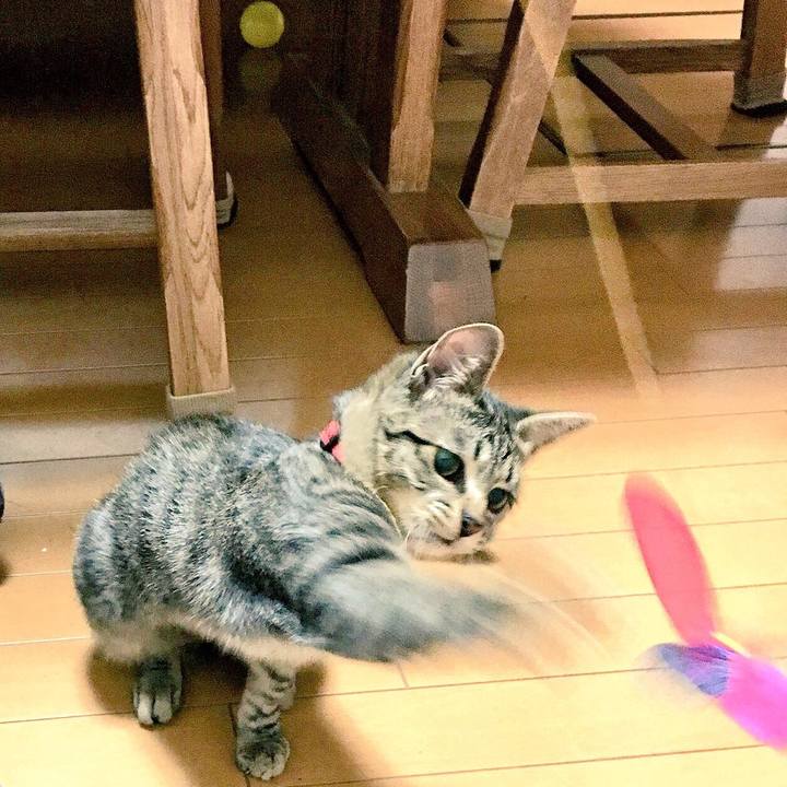 Cd417794 b4f1 4b7b 9f2b ca18f23dc2ef