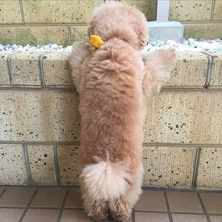 Cd419e32 8cc5 478a aa7a 5c0c95b2b12a