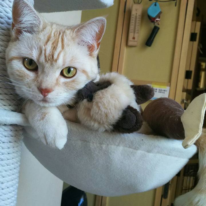 Cd41f519 1e1e 4367 b995 edca8bf3b7a4