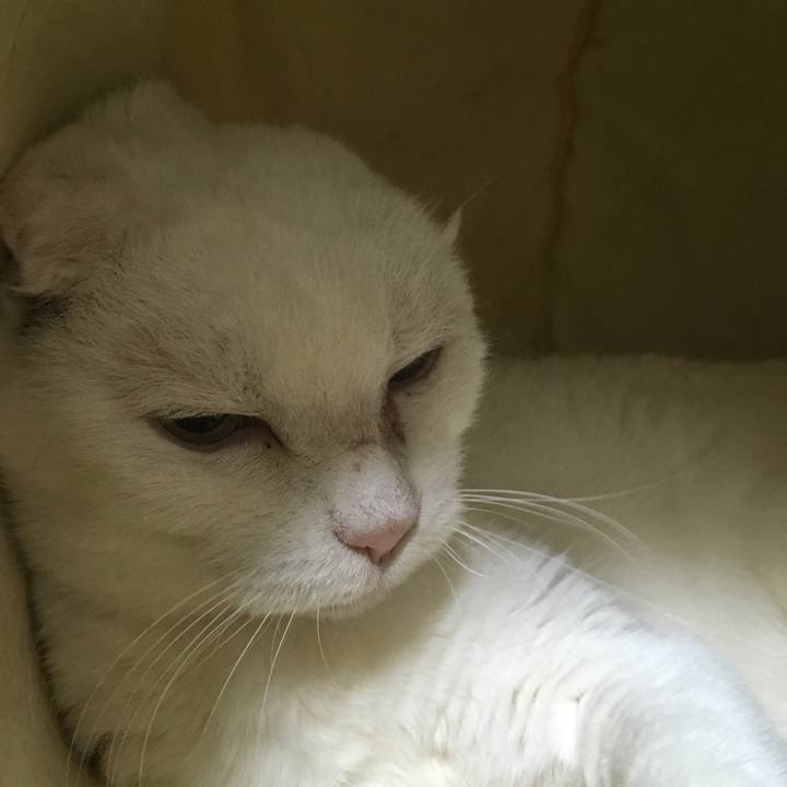 Cd421ccf 62bd 42f2 8ed2 4ac8bf03fec9