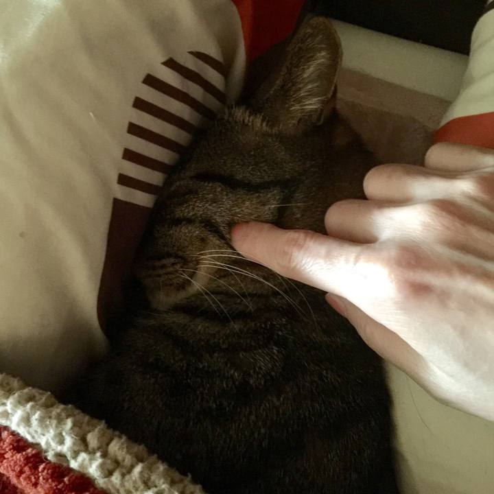 Cd424333 c327 42f7 b3d5 08aac163b528