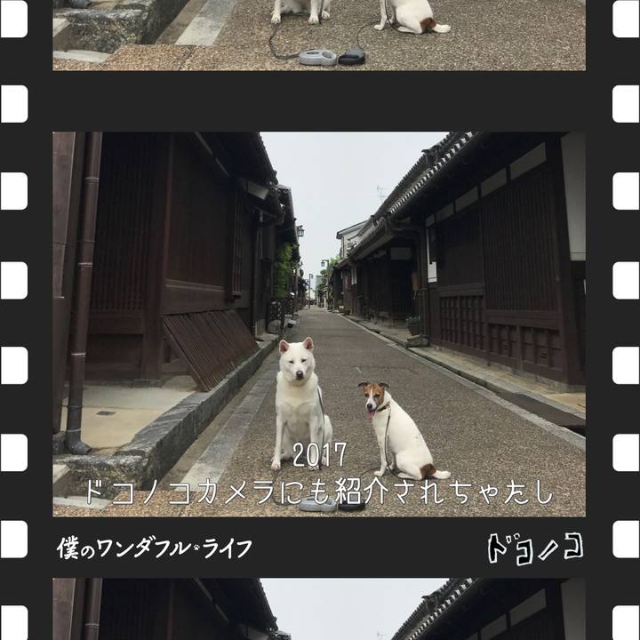 Cd431671 90c4 46fd 993d fb990a444524