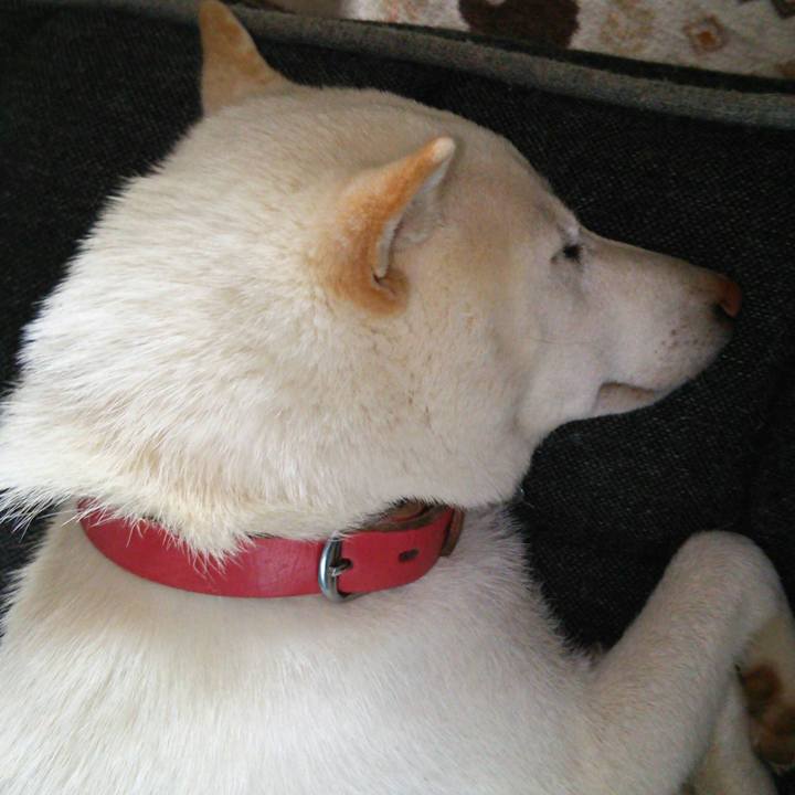 Cd4338a7 70c2 461c b9eb a29d84d57a30