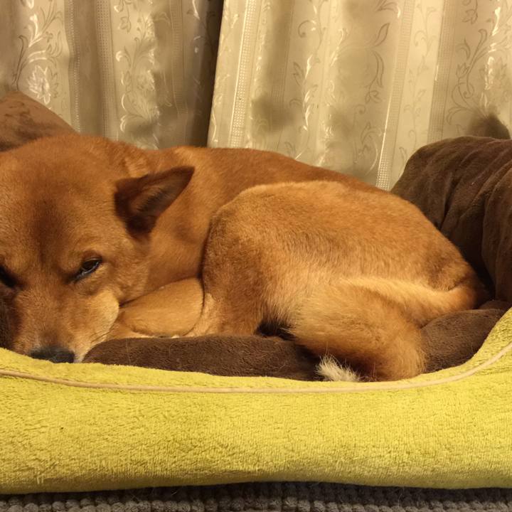 Cd436d58 ea2e 41a8 b944 d0701463487e