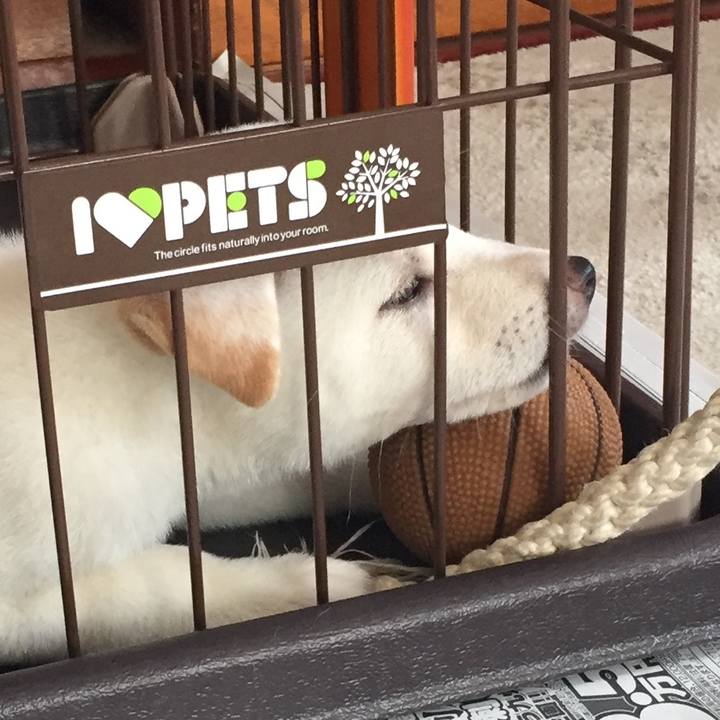 Cd440579 0a36 45c9 a5b9 d9e4d7fe88ba