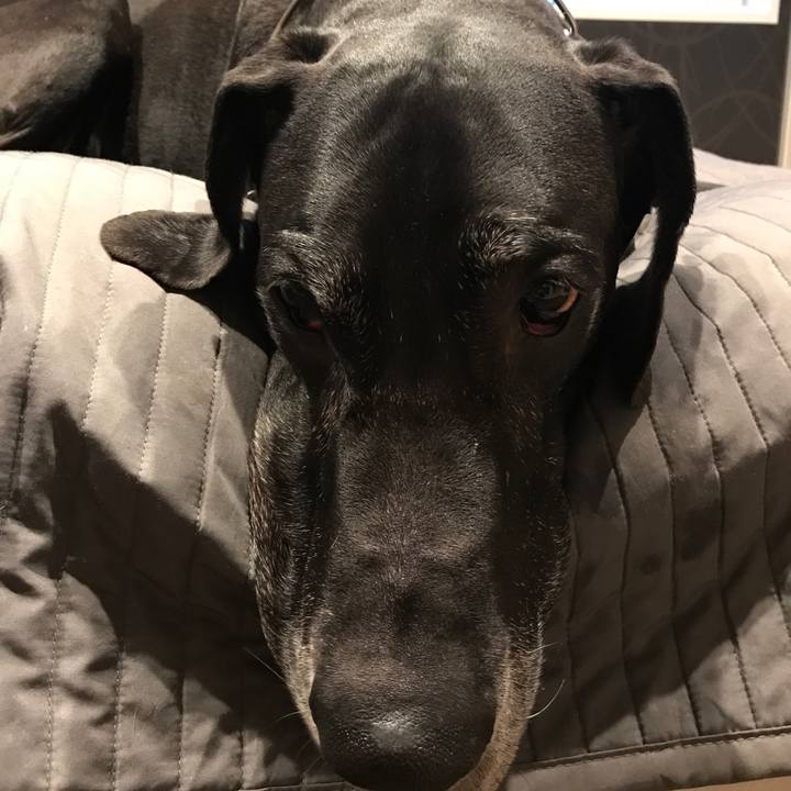 Cd4444de 3682 4829 95fe 723875caa837