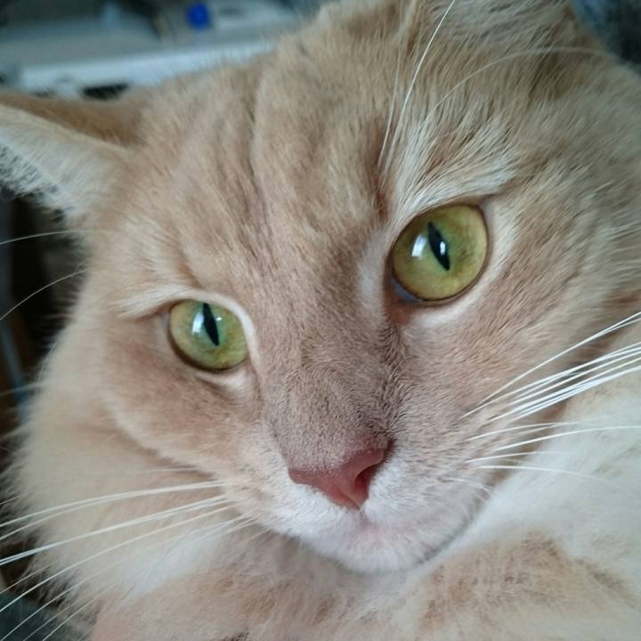 Cd44462b c7ed 4f8d 9b6c 24eb3b4c2025