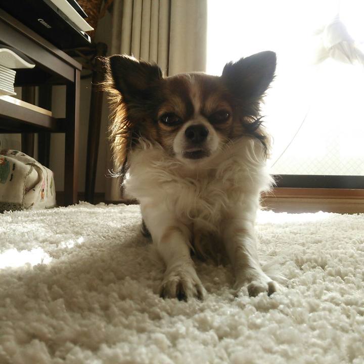 Cd445d63 28c3 43b5 9468 8af839eb8aaf