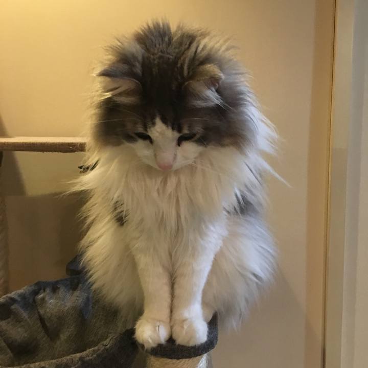 Cd4469f4 b7ca 4710 89a6 1943b6344777