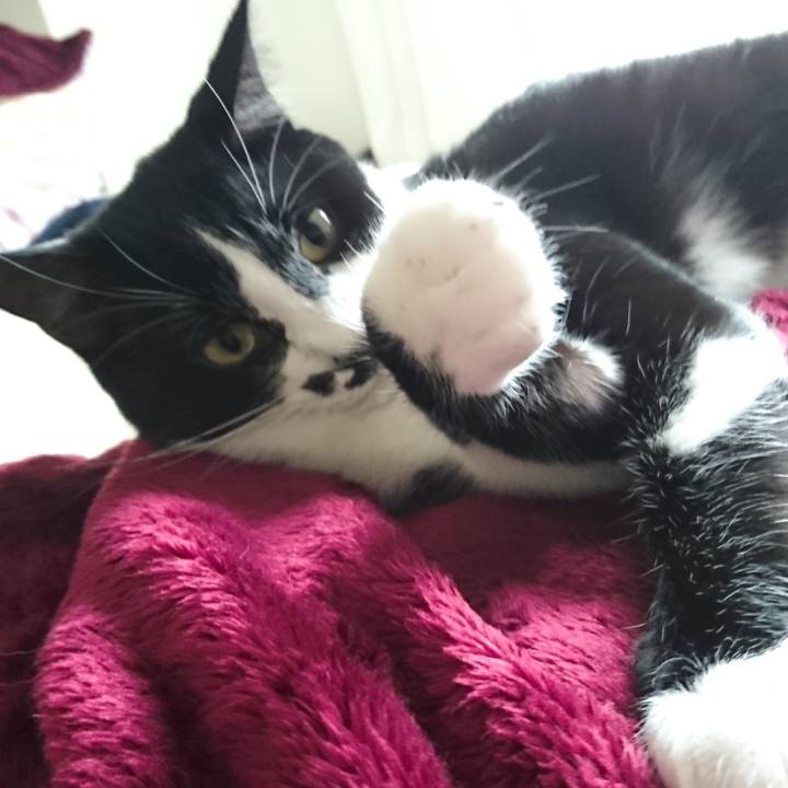 Cd44b4c0 2d6f 46db 8e2e 0d360a5db96c