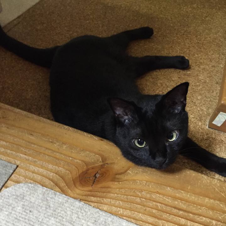 Cd44bd41 75f0 4841 94ec 78bc151e9ed4