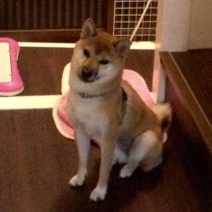 Cd44c336 9b6a 4229 842f 03f47d1bda55