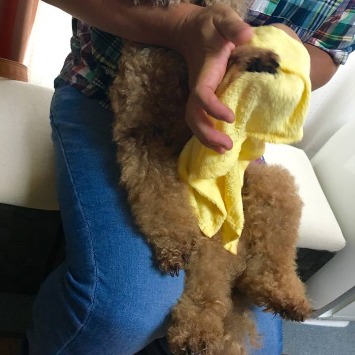 Cd459362 b8ff 4228 a402 300d3de82905