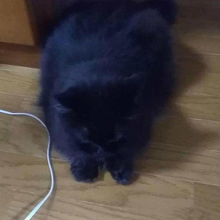 Cd45ec86 f234 4982 abfe a32e276f3b90