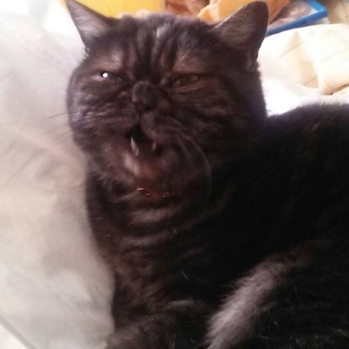 Cd46151f d8b5 482c b3d3 7198edf7c7cb