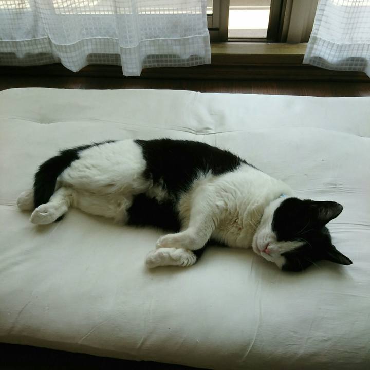 Cd46721b dd2f 484b 9e15 9724a8720401