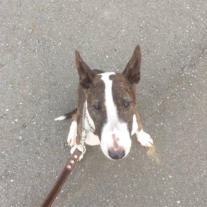 Cd47fb18 9193 4985 b67b 2703f05f34f5