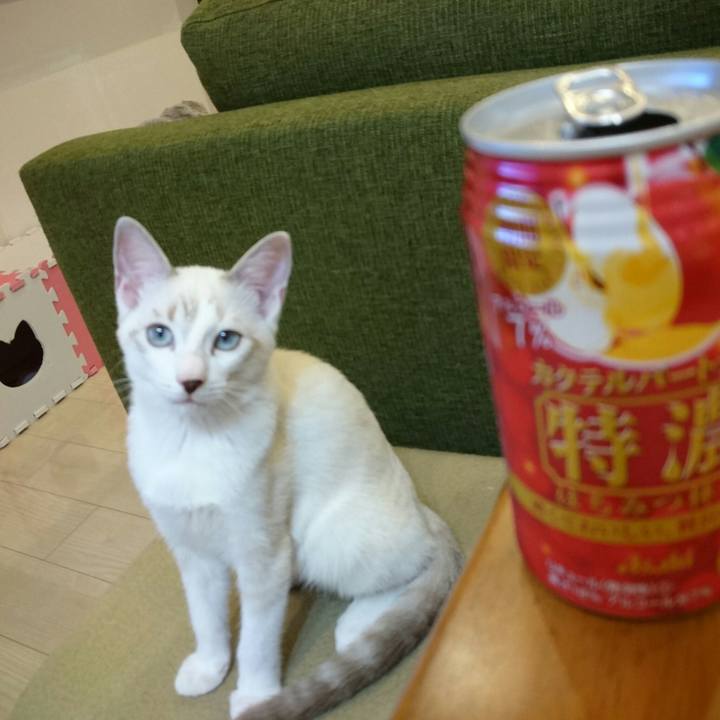 Cd48a138 0721 44e9 95ff 9291730a3811