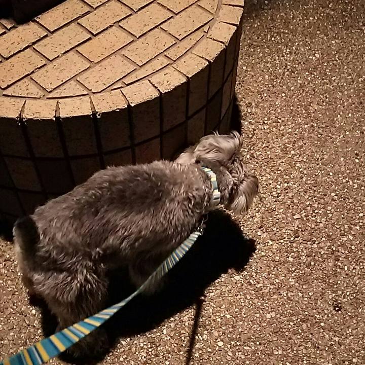 Cd49074d cee7 477f 90ba fcec44242be5
