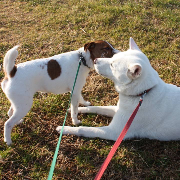 Cd492dd3 6431 4851 9640 5077457e0990