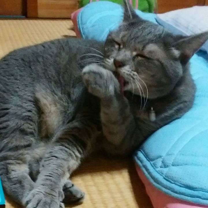 Cd496b40 dfe5 46d8 b7c1 e69b8a41ffc1